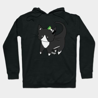 Aro Pride Tuxedo Kitty Ear Bow Hoodie